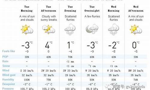 加拿大多伦多天气预报_加拿大多伦多天气预