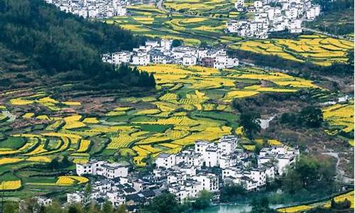 婺源旅游几月份去最好?_婺源旅游几月份去