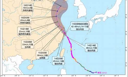 浙江水利厅台风路径实时发布系统_浙江省水