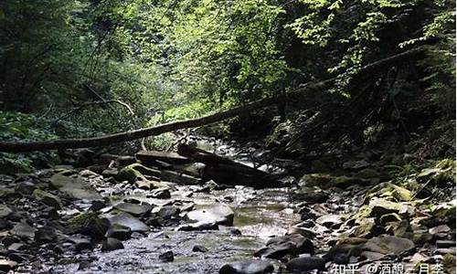 湖南三日游最佳旅游景点_湖南三日游最佳路线攻略