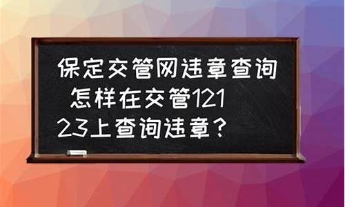 个人违章查询_个人违章查询