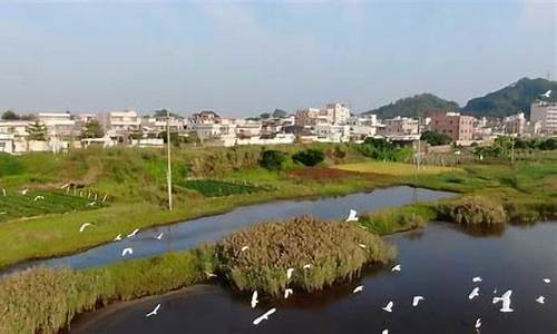 汕尾市海丰县天气_广东省汕尾市海丰县天气