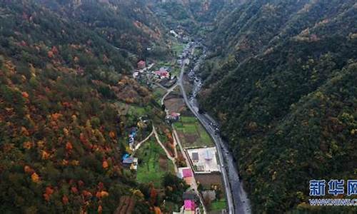 重庆城口天气预报十五天_重庆城口天气预报十五天查询结果